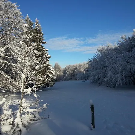 Biazot Chalet Xonrupt-Longemer