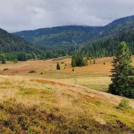 Biazot Xonrupt-Longemer