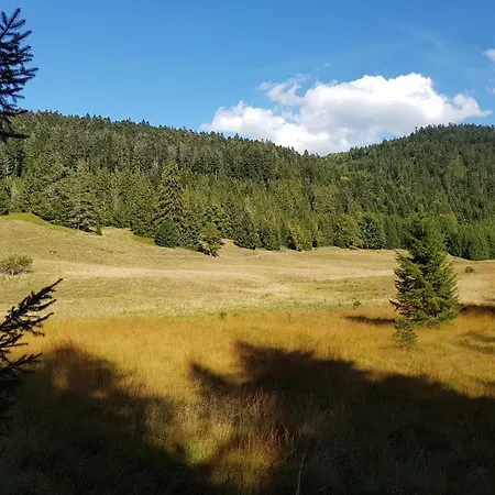 Chalet Biazot Xonrupt-Longemer