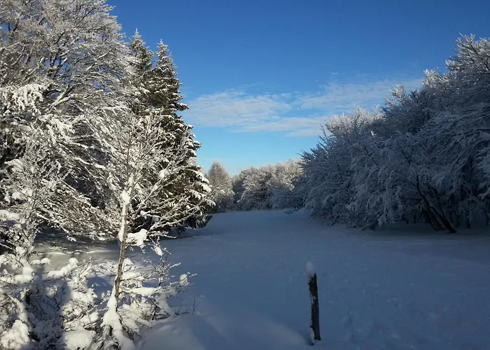 Biazot Chalet Xonrupt-Longemer