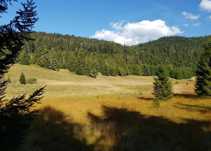 Chalet Biazot Xonrupt-Longemer