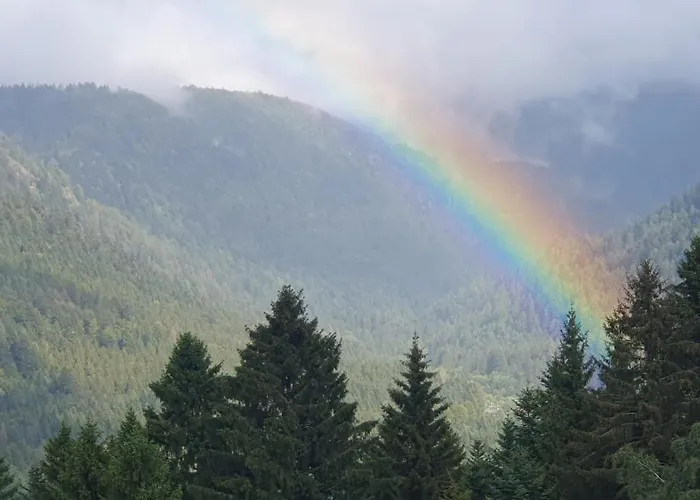 Chalet Biazot Xonrupt-Longemer